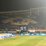 ʯׯԵľ޷TIFO