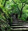 重庆主城最特色登山步道